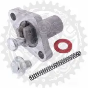Cam Chain Tensioner Complete For Rex Monza 50 4T 2011-2014