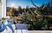3D Pine Needles Bright Sun Wallpaper Wall Murals Removable Wallpaper 206