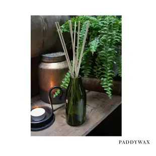 GOODFORIT/美國Paddywax Fresh Air & Birch Diffuser清新樺木竹枝酒瓶擴香