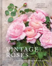 Vintage Roses