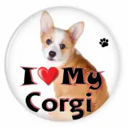 I LOVE MY WELSH CORGI DOG PUPPY 3" SAFETY PIN BACK BUTTON