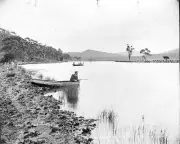 Scamander Bay Tasmania 1915 - A man in a boat with a gun. The boat- Old Photo