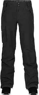 [Dakine] Remington Pure 2L Gore-TEX Pants Women's 2019