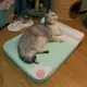 精品寵物涼席貓墊子夏季降溫冰窩睡覺用睡墊貓窩夏天狗狗涼墊貓咪冰墊