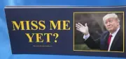 WHOLESALE LOT OF 20 MISS ME YET DON'T BLAME ME I VOTED FOR TRUMP STICKER 2024