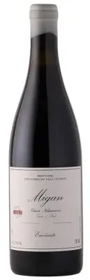 Envinate Migan Tinto Listan Negro 2022
