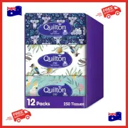 Hypo Allergenic 2 Ply 250 Facial Tissues Pack, 12 Packs Tissue Quilton