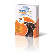 Interceptor Spectrum Orange For Very Small Dogs - 6Pack