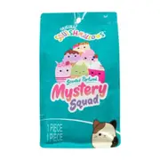 Squishmallows Mystery Squad Sweets Scented 5 inch Plush Blind Bag