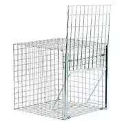 Single Catch Pigeon Trap - Traps Pigeons, Seagulls, Magpies, Crows & Chickens