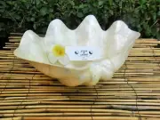 Capiz Shell Bowl - Medium Clam Shape x 26cm