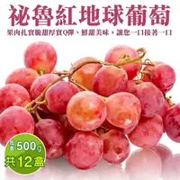在飛比找PChome24h購物優惠-【WANG 蔬果】秘魯紅地球葡萄(12盒_500g/盒)