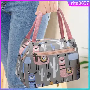 Cartoon Printed Lunch Bag Insulated Thermal Cool Bags Picnic