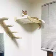 Wall-Mounted Cat Hammock & Sisal Rope Climbing Shelf for Kittens & Cats