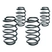 Eibach Pro Kit Coil Springs for A4 B6/B7 Cabrio E10-15-003-13-22 (for: Audi)