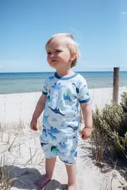 Boys Sizes 3-7 Dinosaur Print Cotton Short Sleeve PJS Pyjamas Marquise