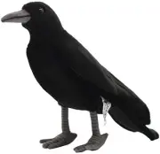 Hansa Black Crow 12.1L