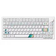 MonsGeek M1 V5 VIA 1980s Keyboard Botany Switch