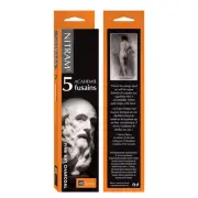 Willow Charcoal Black Writing Instruments Pack of 5 Quality Office Supplies