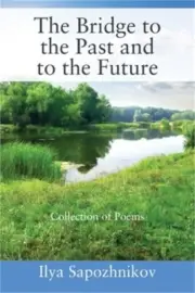 The Bridge to the Past and to the Future: Collection of Poems (Paperback or Soft