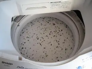 清洗劑洗衣機內缸清潔劑泡泡玉日本原裝進口清潔除異味波輪滾筒滿百包郵