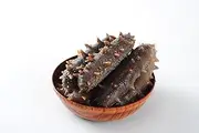Herbal Supplements Fresh Dried Sea Cucumbers Herbal Supplements 200g (2)