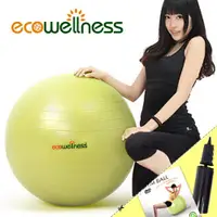 在飛比找蝦皮商城優惠-【ecowellness】加厚防爆26吋韻律球(贈送打氣筒)