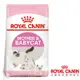 Royal Canin法國皇家 BC34離乳貓飼料 2kg