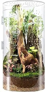 Walopola Jumping Spider Enclosure, Acrylic Reptile Enclosure, Transparent Reptile Breeding Box, Tarantula Faunarium Terrariums with Front Opening Door, for Snails, Geckos, Mantises, Lizards