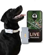 PAJ PET Tracker for Dogs - Worldwide Live Tracking + Health Monitoring + Runaway Alerts - Up to 10 Days Battery Saver - Glowing LED Cases - Waterproof (IP67) - Fits Any Collar - Grey