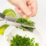 Stainles Steel 5 Blades Professional Shredding Scissors Sharp Herb for Kitchen