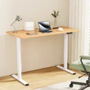 Artiss Electric Standing Desk 120CM Sit Stand Desks Home Office Computer Desk