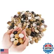 Natural River Rocks 1-2 Inch Ornamental Polished Pebbles Small Rocks Pebbles