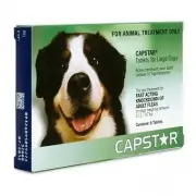 Capstar 57MG Large Dog Green