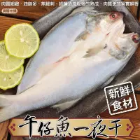 在飛比找PChome24h購物優惠-【海肉管家】台灣午仔魚一夜干(共10隻_每尾約150-200