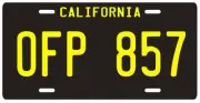 Herbie the Love Bug Volkswagen Beetle License plate