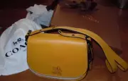 COACH DISNEY MICKEY MOUSE SADDLE BAG 23 ITEM 38421 NEW W/TAG IN DUST BAG, BOX
