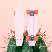 在飛比找蝦皮購物優惠-Penny Skateboards CACTUS WANDE