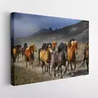 A Herd Of Horse Migrating Wall Art Canvas Unframed Print Art