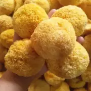 Organic Dried Tremella Snow White Fungus Mushrooms, Silver Ear, Yin Er