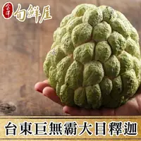 在飛比找momo購物網優惠-【金澤旬鮮屋】台東十股XXL巨無霸大目釋迦3公斤x2箱(5顆