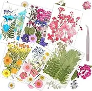 120Pcs Dried Pressed Flowers for Resin Mold Dry Flower Real Daisy Leaves Bulk with Tweezers Natural Herbs Kit for Scrapbooking DIY Art Crafts Candle Jewelry Making Nails Floral Decoration