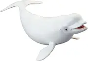 CollectA Sea Life Beluga Whale Toy Figure - Authentic Hand Painted Model