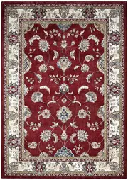 PinnaclePlaza Traditional Rug 57158-1464