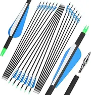 ZSHJGJR 30inch Archery Carbon Arrow Hunting Arrows with 100 Grain Removable Tips 500 Spine for Archery Compound & Recurve & Traditional Bow 6/12Pack