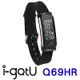 雙揚i-gotU Q69HR 心率智慧手環-彩色顯示螢幕(針扣式錶扣)