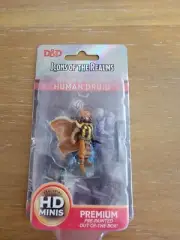 WizKids D&D Icons of the Realms Human Druid
