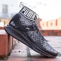 在飛比找蝦皮購物優惠-帝安諾-實體店面 PUMA IGNITE EVOKNIT T