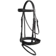 Jeremy and Lord Bling Dressage Bridle