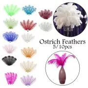 Beautiful Ostrich Feathers Fly Plume Art Craft Hat Wedding Party Costume Decor
